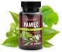 pamiec skoczylas