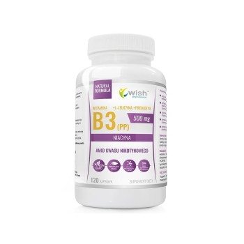 Witamina B3 500mg Niacyna PP 120kaps. Wish