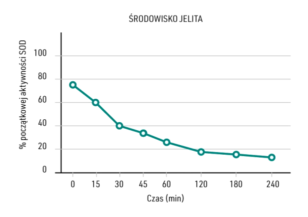 inamia_antioxidant_jelita_wyk2.png