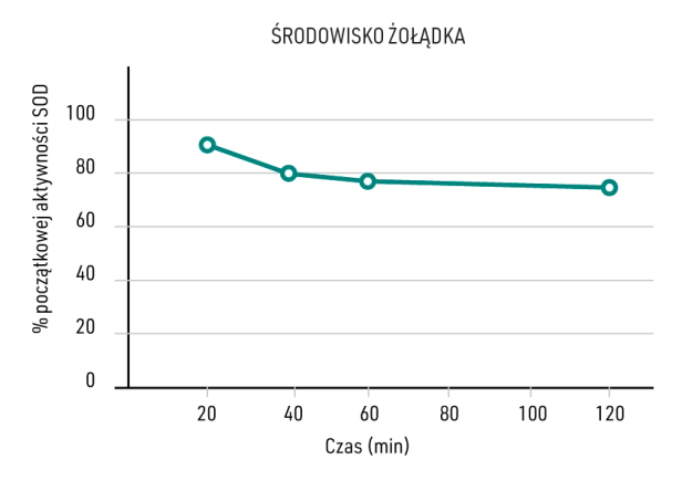 inamia_antioxidant_zoladek_wyk1.png