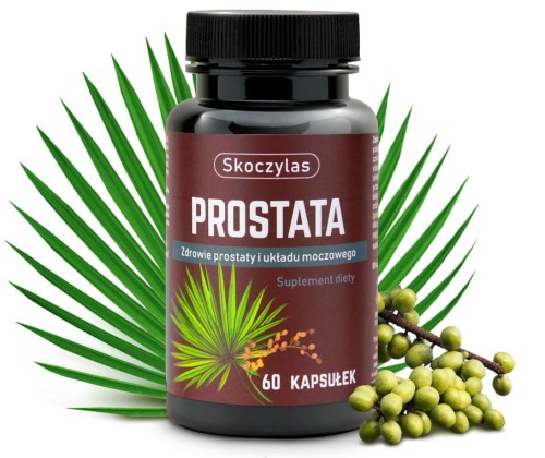prostata-skoczylas.jpg