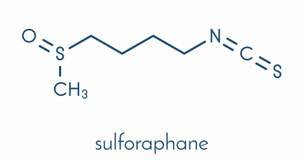 Sulforafan-aliness--.jpeg