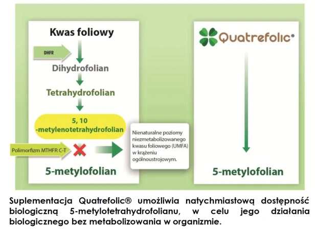 PrenaCare-Complete-dla-kobiet-w-ciazy-i-karmiacych-aliness-6.jpg
