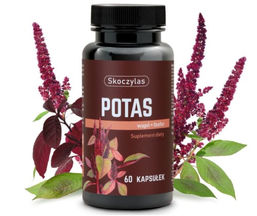 Potas-Wapń-Fosfor-Skoczylas.jpg