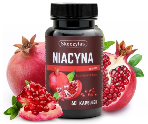 Niacyna z granatem Skoczylas.jpg