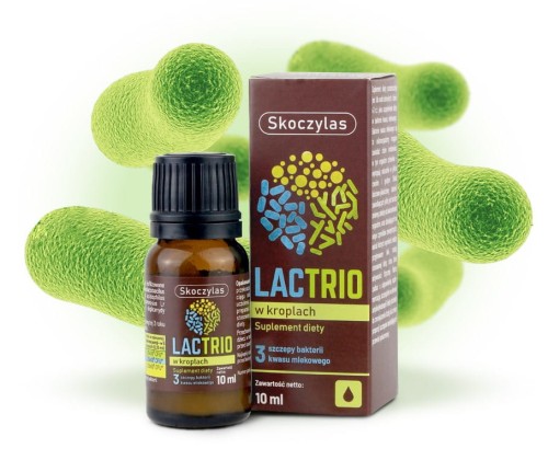 lacto probiotyki flora jelitowa trawienie skoczylas.jpg