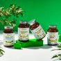 Rhodiola Rosea 60kaps. BioWen.jpg