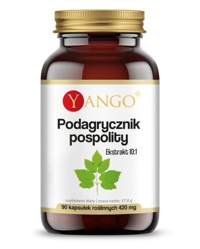 Podagrycznik pospolity - ekstrakt-yango.jpg