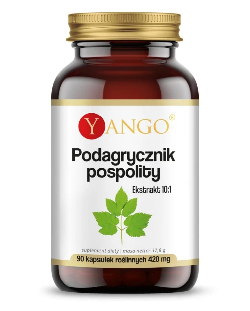 Podagrycznik pospolity - ekstrakt-yango.jpg