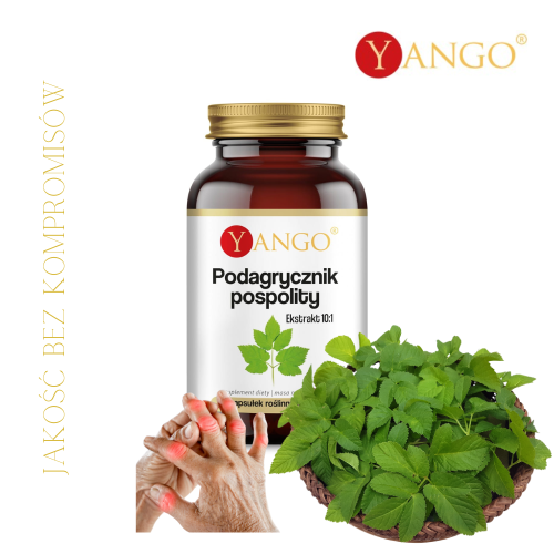 Podagrycznik Yango.png