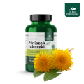 Mniszek Lekarski dr Ewa Dąbrowska (1).png