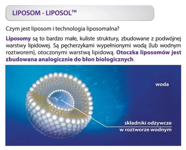 Liposol Liposomalna Witamina C 250ml pomarańczowy smak Aliness-2.jpg