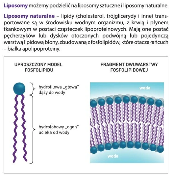 Liposol Liposomalna Witamina C 250ml pomarańczowy smak Aliness-3.jpg