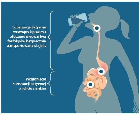 Liposol Liposomalna Witamina C 250ml pomarańczowy smak Aliness-4.jpg