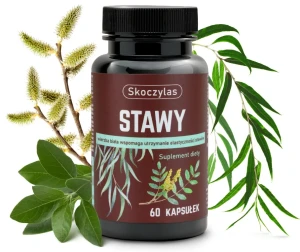 Stawy 60kaps. Skoczylas