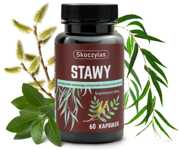 Stawy 60kaps. Skoczylas.webp