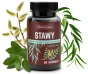 Stawy 60kaps. Skoczylas.webp