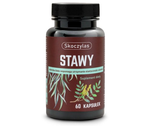 Stawy 60kaps. Skoczylas-.jpg