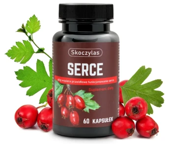 Serce 60kaps. Skoczylas