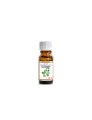 Olejek Bazyliowy 10ml Etja--.jpg