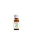 Olejek Bazyliowy 10ml Etja--.jpg