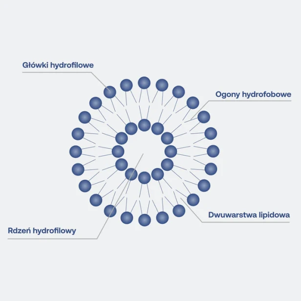 LIPOCAPS C 1000 120kaps. Witamina C liposomalna Formeds-3.webp