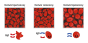 Izotonik Orange+aminokwasy 840g 50porcji ALLHydrate-3.png