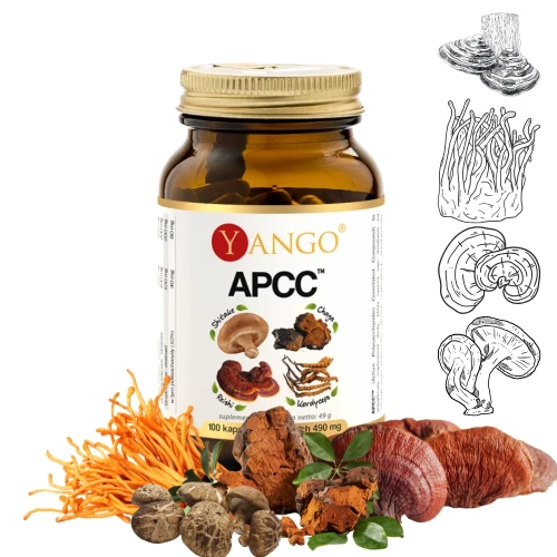 APCC Shitake-Chaga-Reishi-Cordyceps Yango
