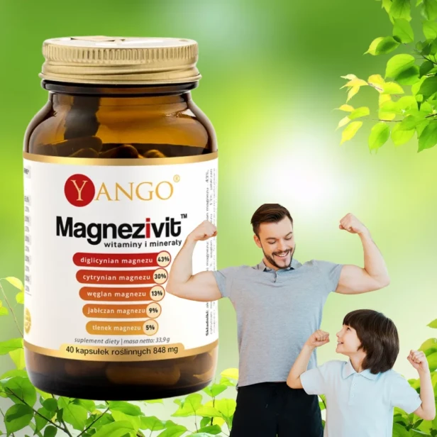 Magzneivit Yango