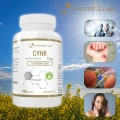Cynk Progress Labs.webp
