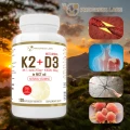 K2 D3 Progress Labs