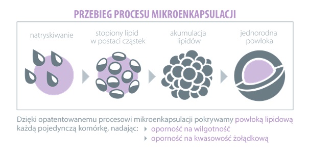 ProbioBALANCE, MAX Man Balance Aliness