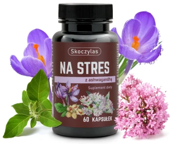 NA STRES ashwagandha, szafran, kozłek lekarski 60kaps. Skoczylas