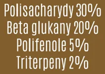 Kawa Arabica mielona + Chaga BIO 252g BeOrganic