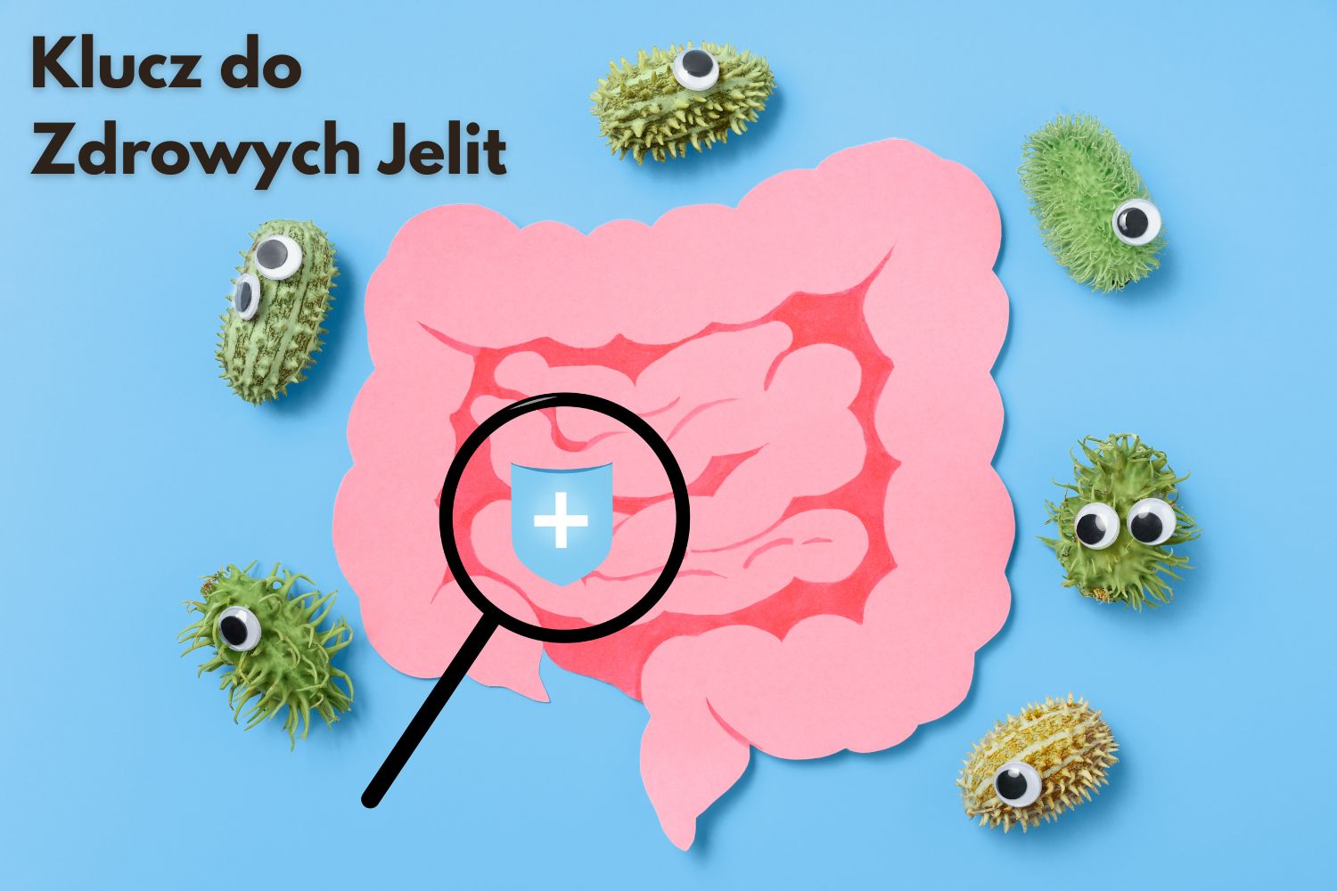 Probiotyki na jelita