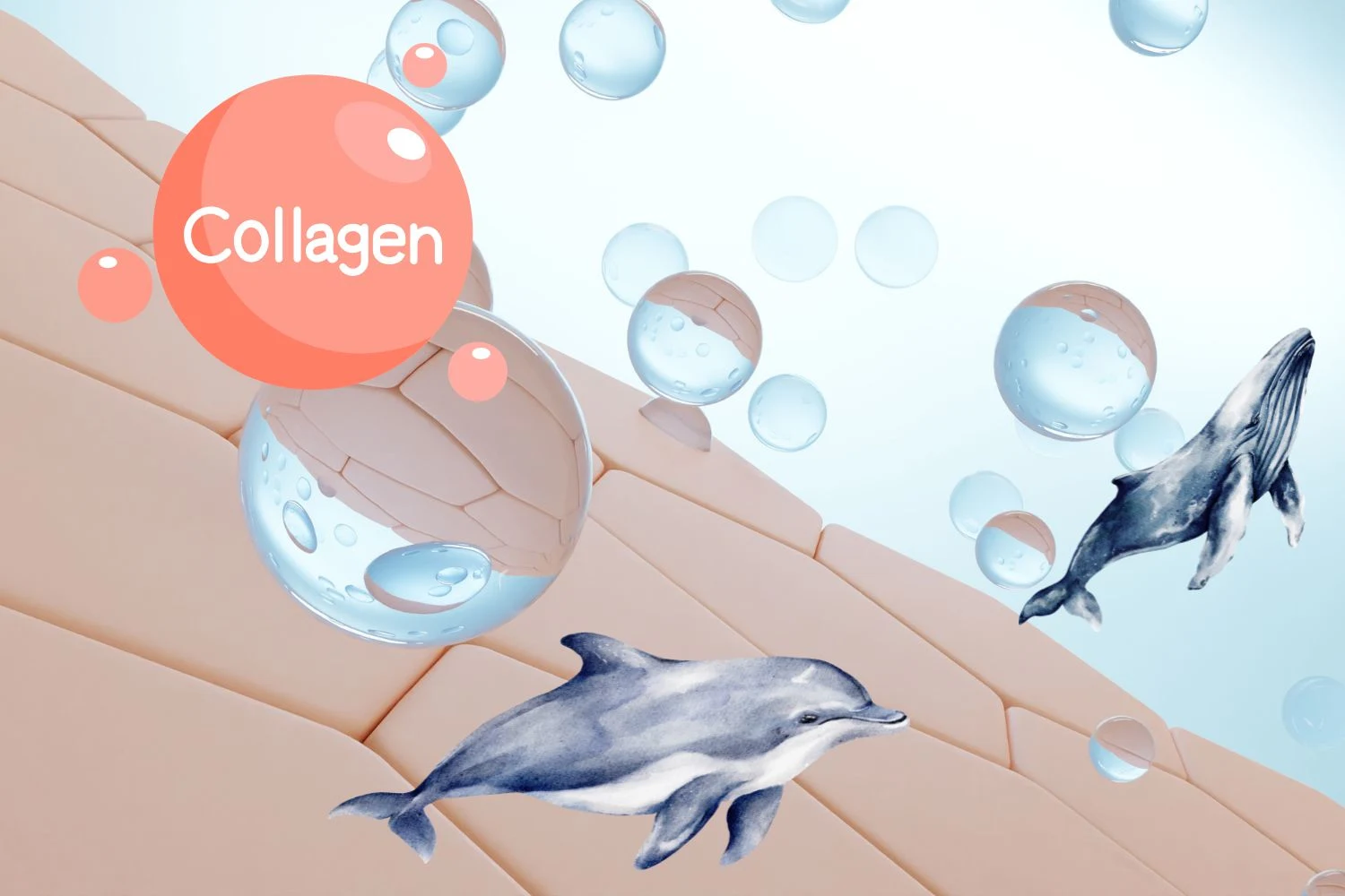 Kolagen morski – właściwości, działanie i biodostępność