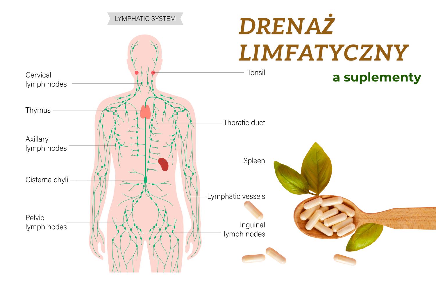 Manualny drenaż limfatyczny vs suplementy – co wybrać?