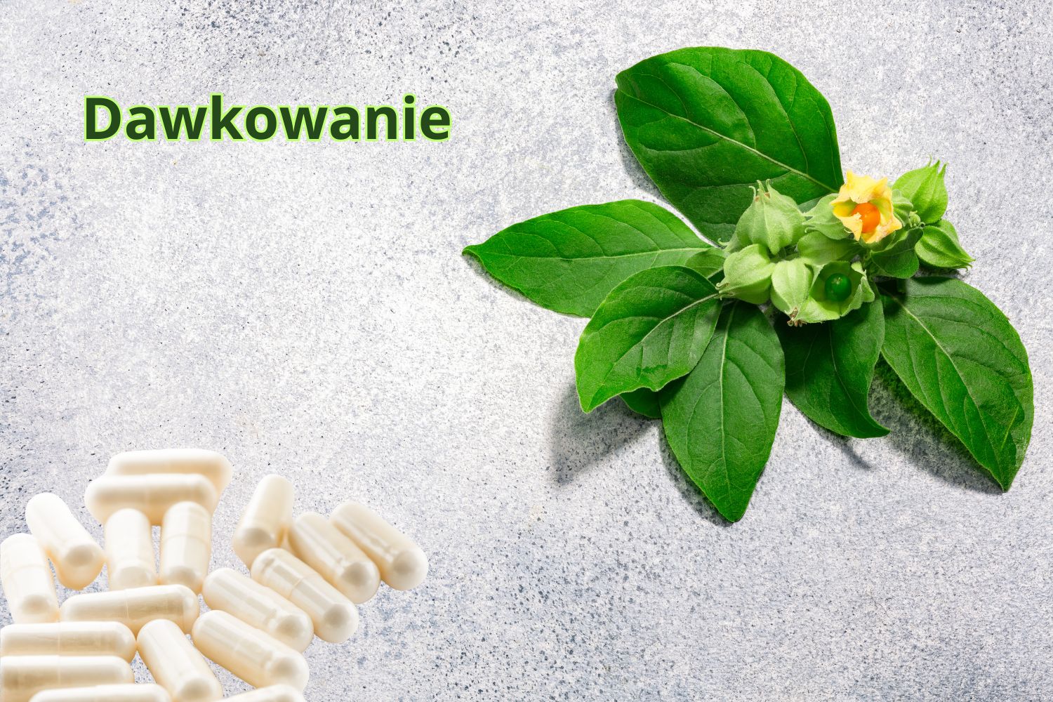 Ile mg ashwagandhy dziennie? Kompletny przewodnik dawkowania